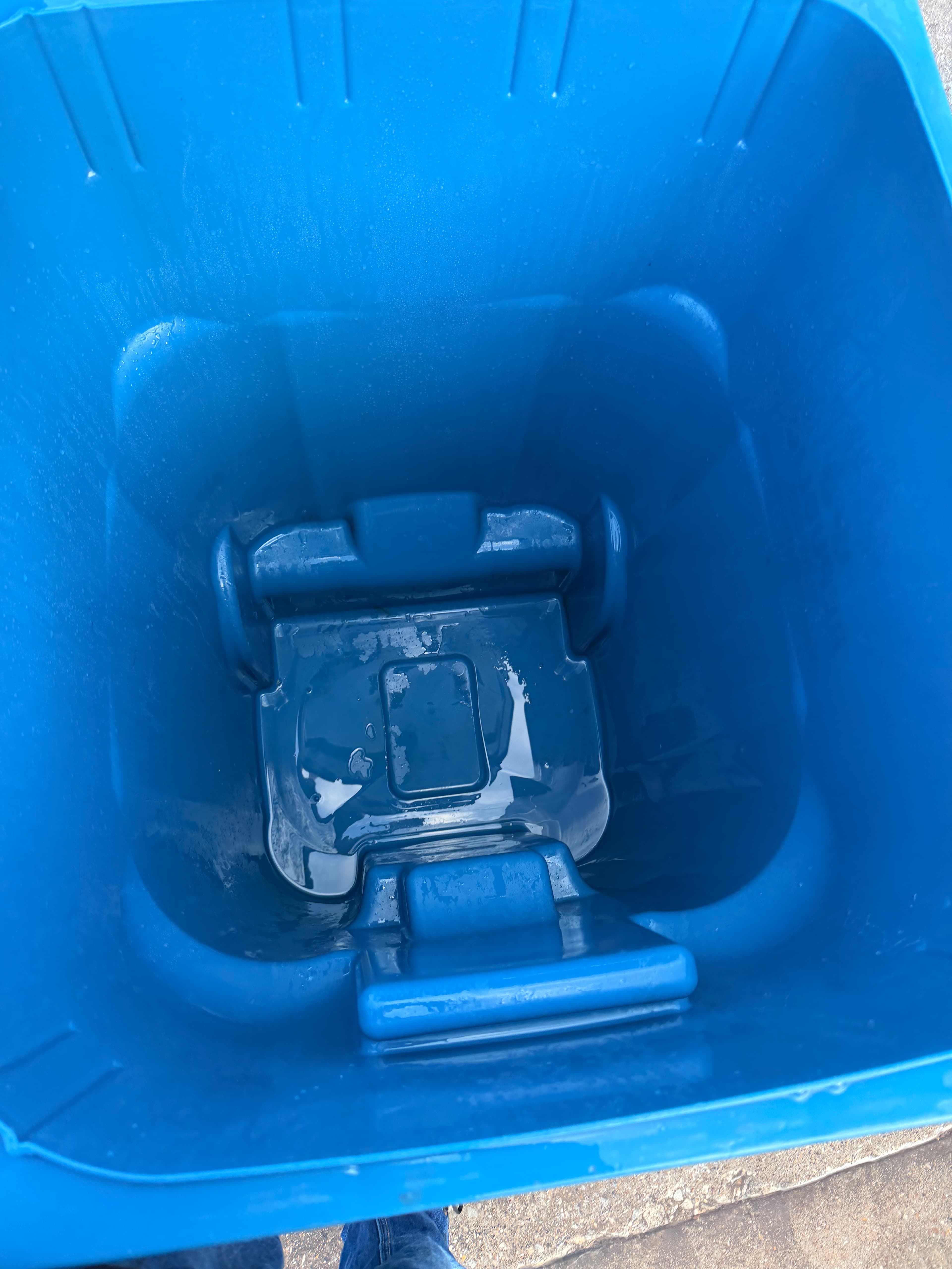 Bin after cleaning